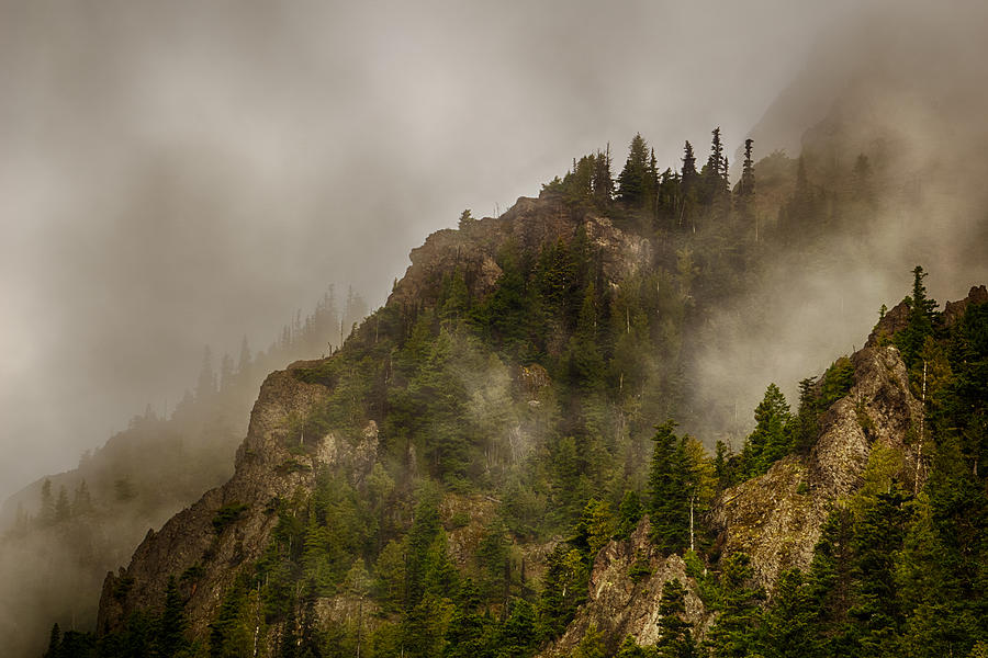 Hurricane Ridge Fog Photograph by Amanda Jones