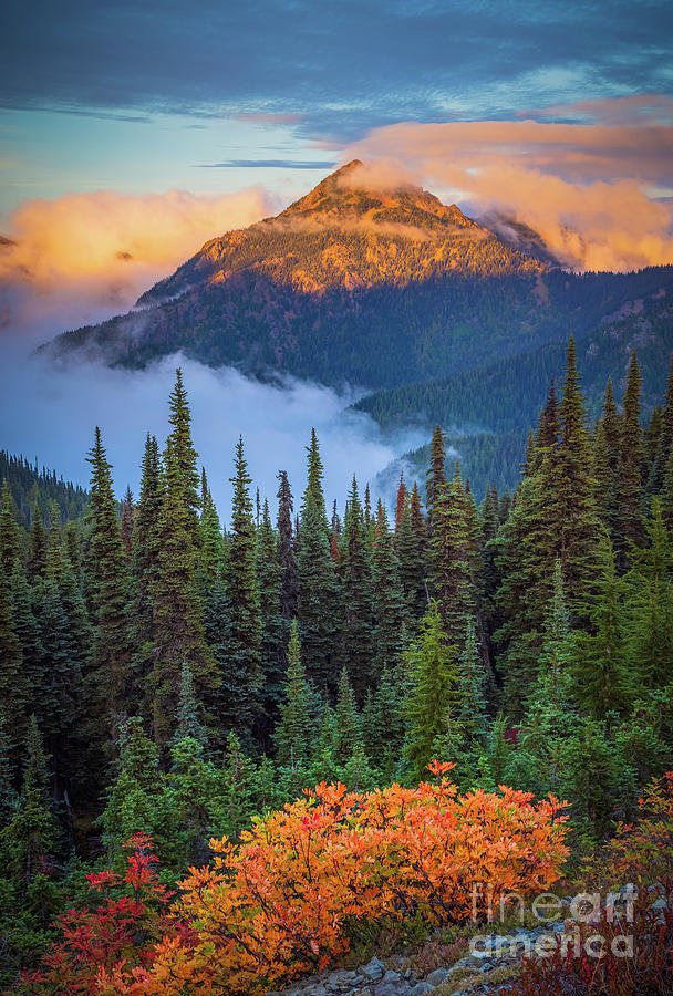 Hurricane Ridge Peak in Autumn Photograph by Inge Johnsson