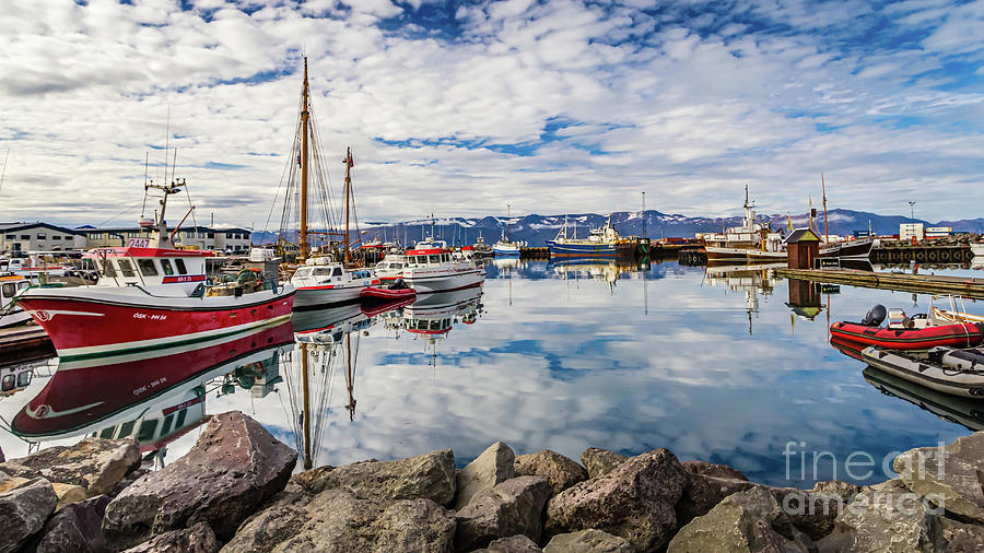 Husavik harbor, Iceland Photograph by Lyl Dil Creations