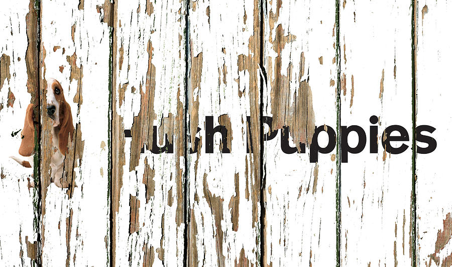 Vintage Mixed Media - Hush Puppies Vintage Logo Peeling Paint Barn Wood by Design Turnpike
