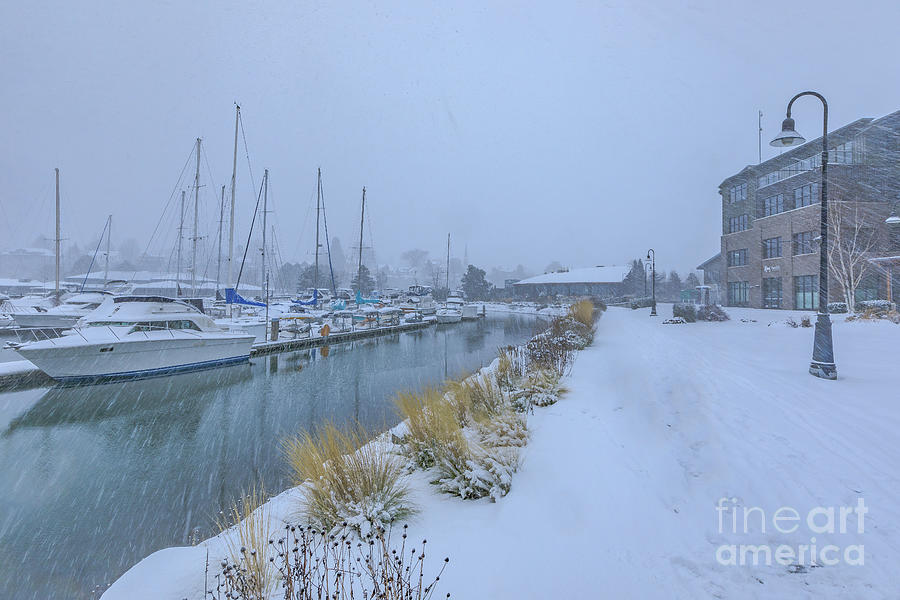 Hush Over the Harbor Photograph by Randy Small Fine Art America
