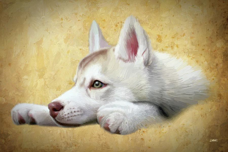 Husky Puppy - DWP1830938 Painting by Dean Wittle
