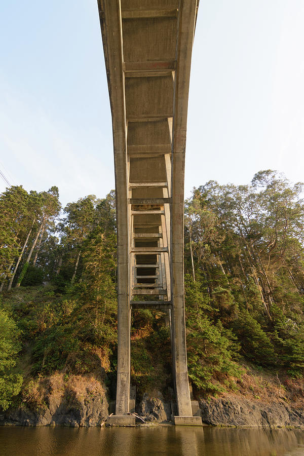 HWY 1 bridge over head Photograph by Mike Fusaro