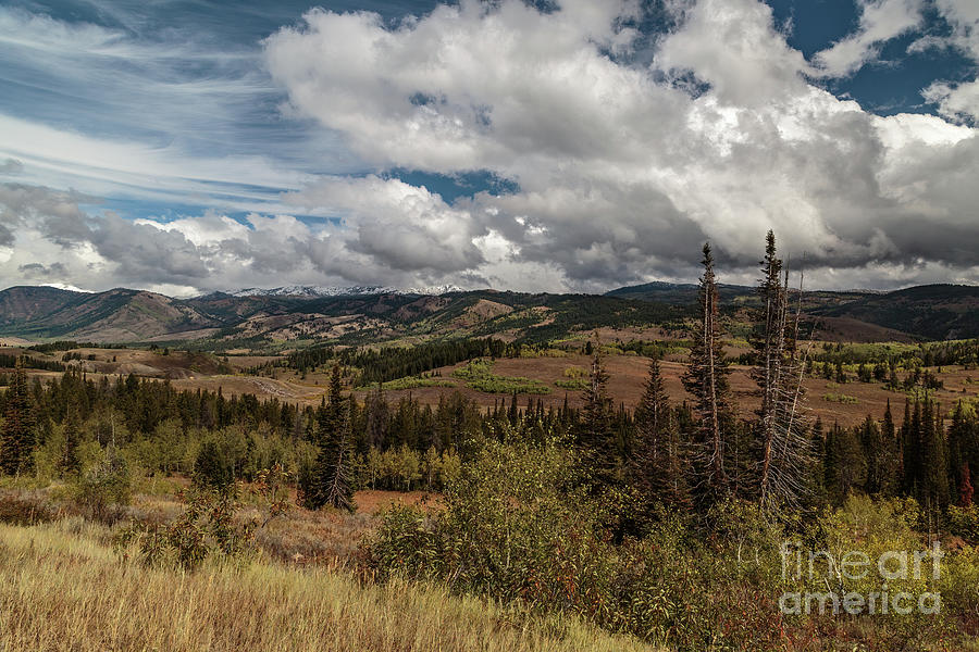 White Clouds Photograph - Hwy. 89   8b8011 by Stephen Parker
