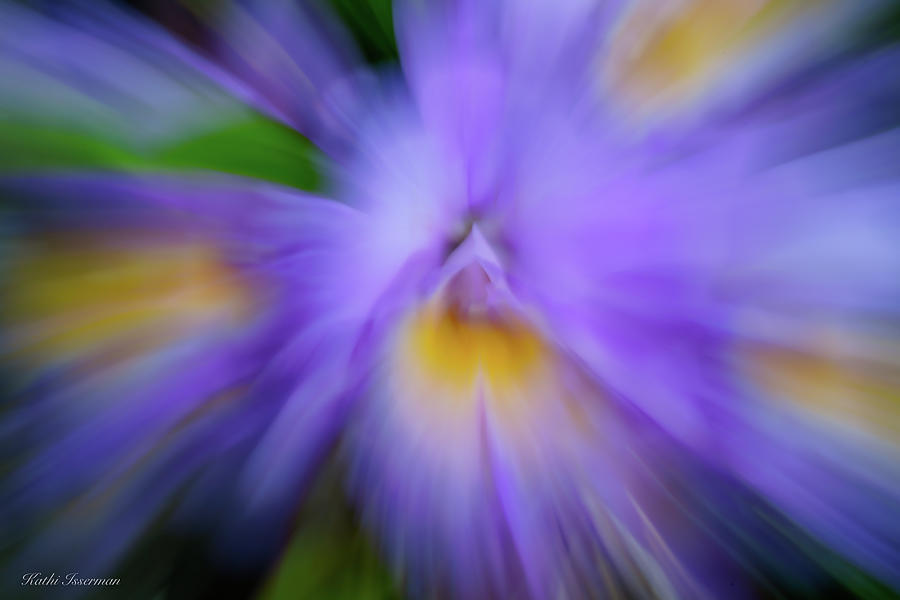 Hyacinth Abstract Photograph by Kathi Isserman
