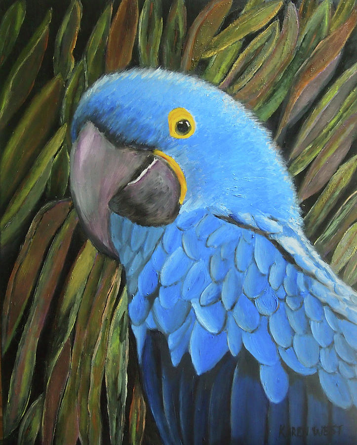 Hyacinth Macaw Painting by Karen West - Fine Art America