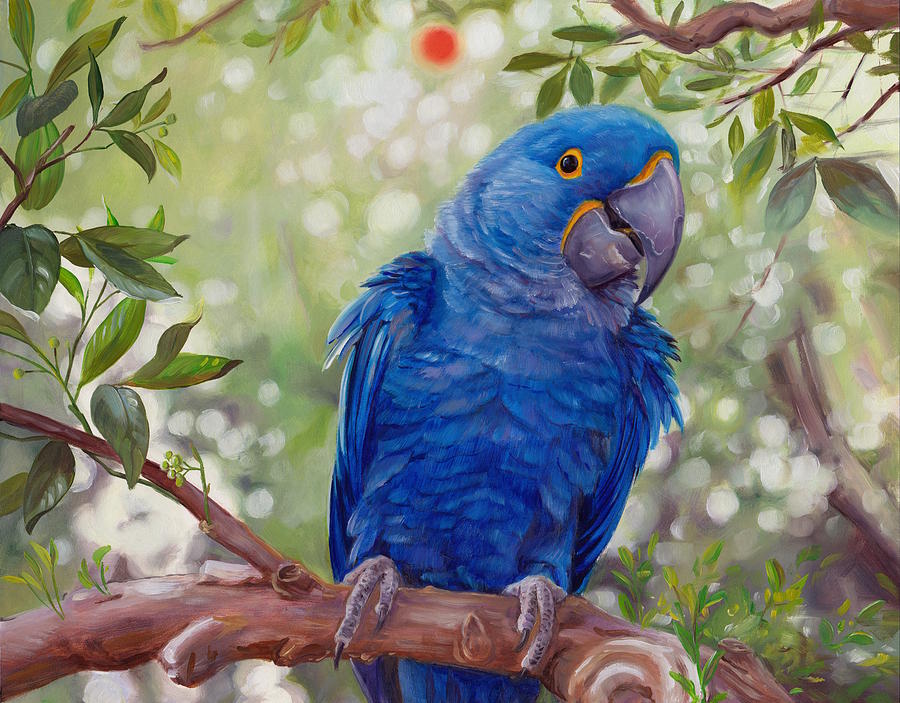 Hyacinth Macaw Painting by Tina Marie K - Pixels