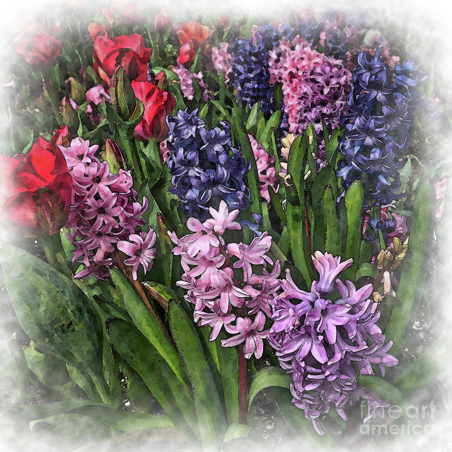Hyacinth With Tulips Digital Art by Kirt Tisdale