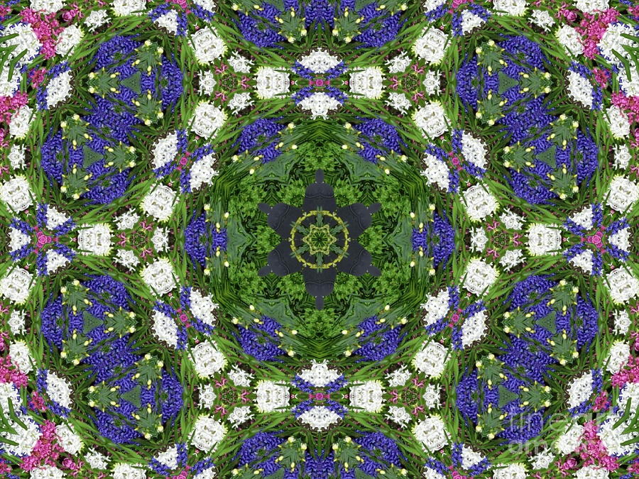 Hyancinth Kaleidoscope X4 Digital Art by Charles Robinson