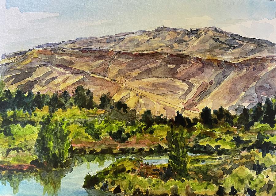 Hyatt Hidden Lake, Boise Painting by Les Herman