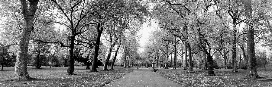 Hyde Park London Black and white Photograph by Sonny Ryse - Fine Art ...