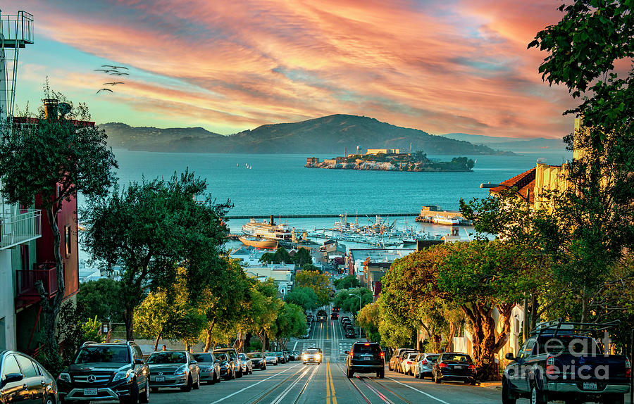 Hyde Street Pier to Alcatraz  Photograph by David Zanzinger