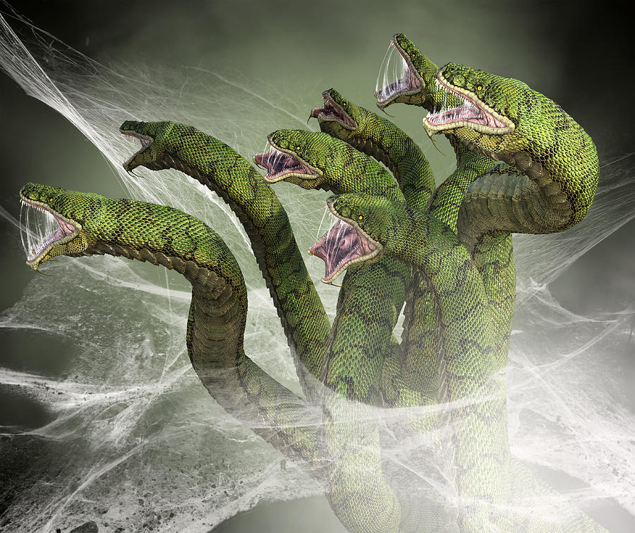 Hydra snakes отслеживается ли тор браузер hudra