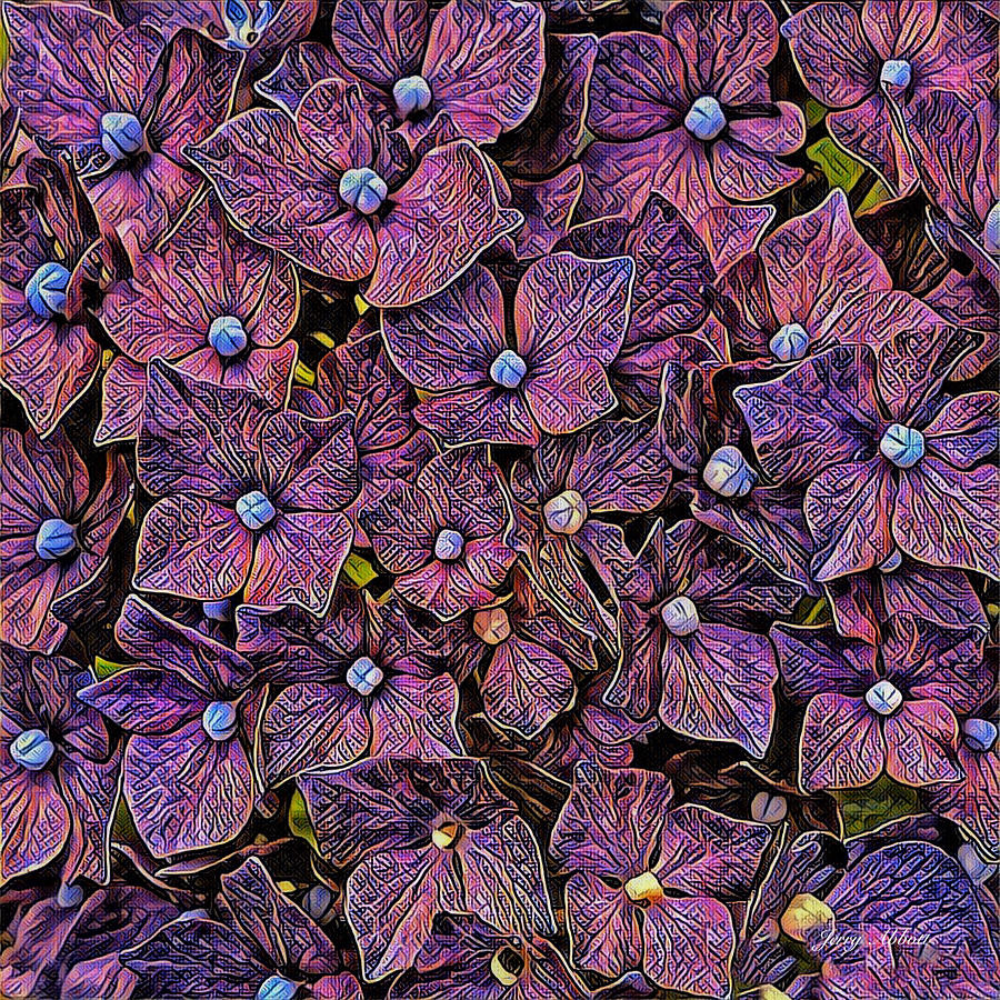 Hydrangea Abstract Photograph by Jerry Abbott