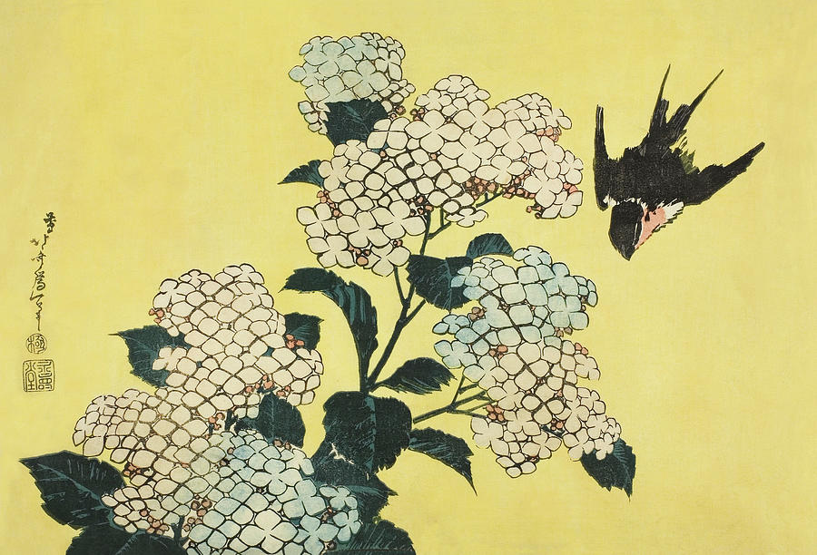 Hydrangea and Swallo - from an untitled series of large flowers 1833-34 by Katsushika Hokusai Digital Art by Steve Hayhurst