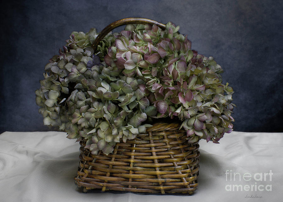 Hydrangea Basket Photograph by Linda Flicker