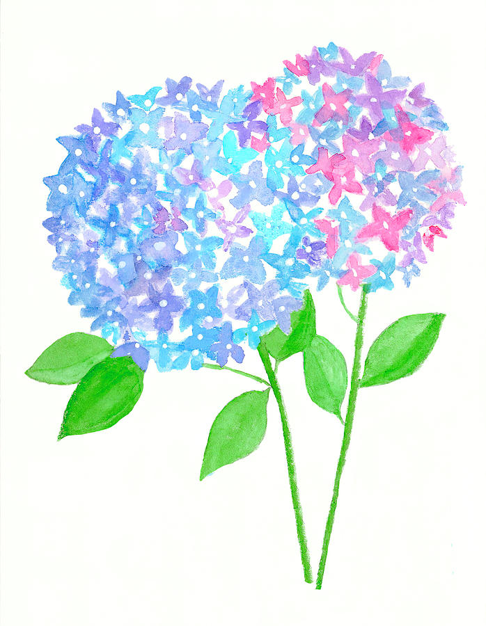 Hydrangea Blooms Painting by Deborah League