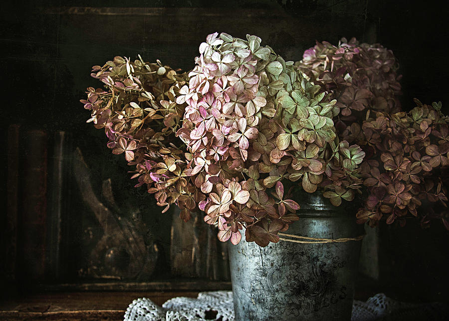 Hydrangea Bouquet Photograph by Cindi Ressler