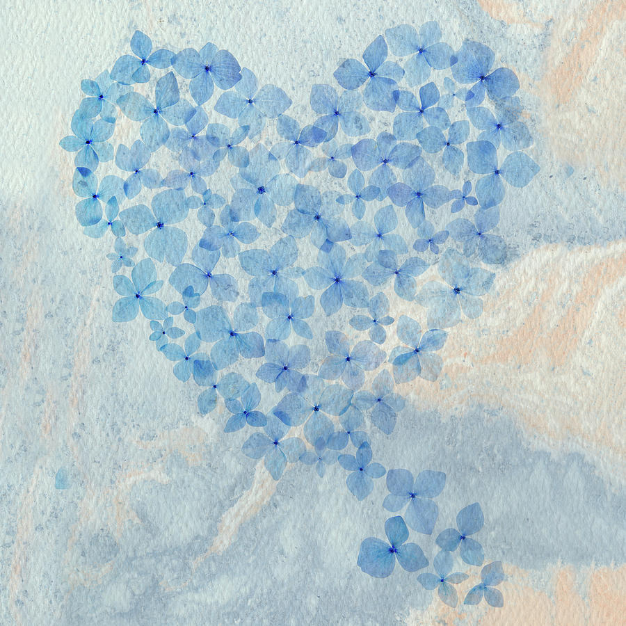 Hydrangea Heart Squared Photograph by Rebecca Cozart