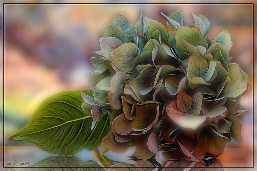Nature Digital Art - Hydrangea Heaven by Ellen Cannon