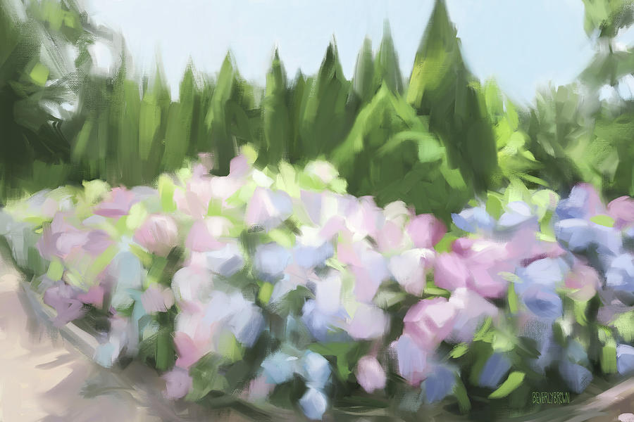 Hydrangea Season Painting by Beverly Brown