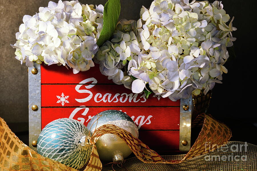 Hydrangea Seasonal Box Photograph by Diana Mary Sharpton