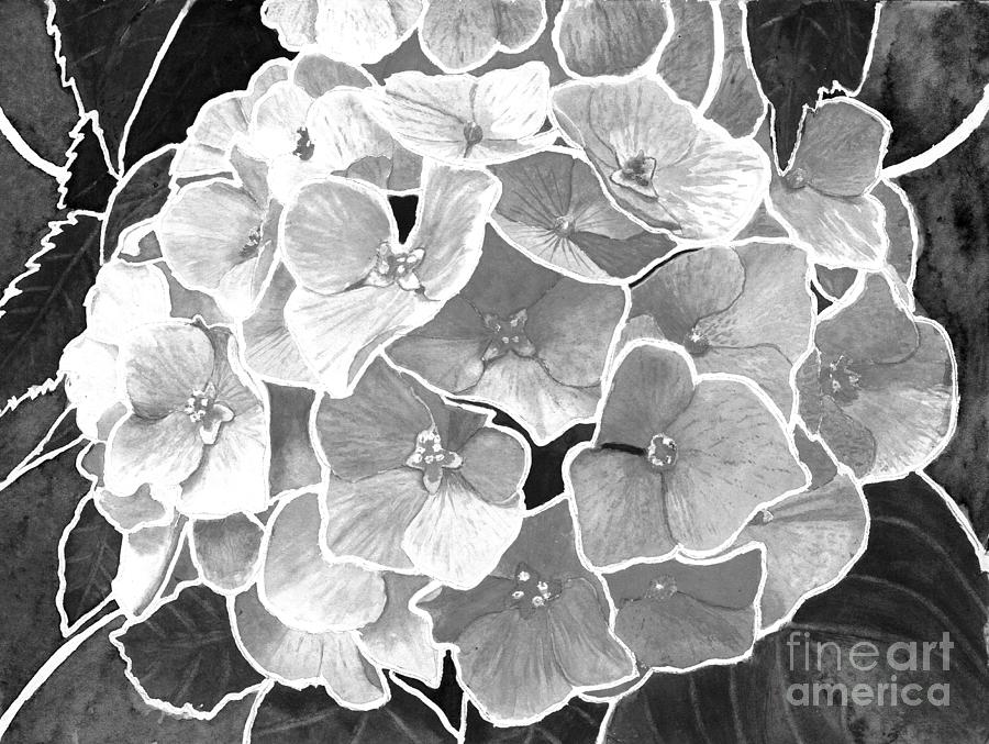 Hydrangea Stained Glass Style in Black and White Digital Art by Conni Schaftenaar
