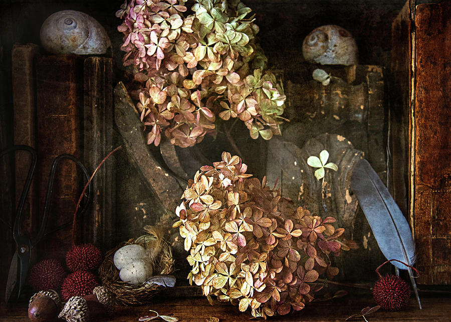 Hydrangea Still Life Photograph by Cindi Ressler