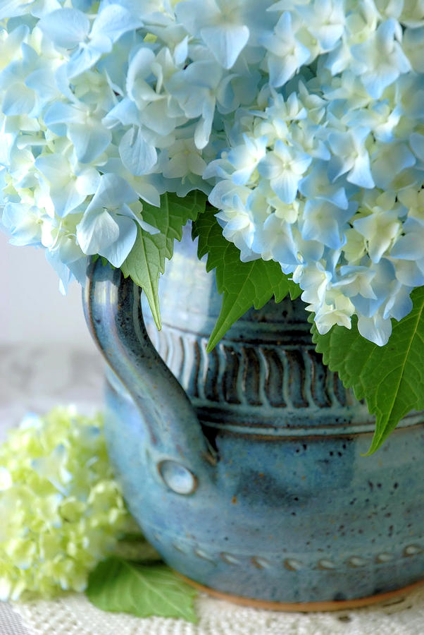 Hydrangeas in Blue Pottery Pitcher Photograph by Dianne Sherrill
