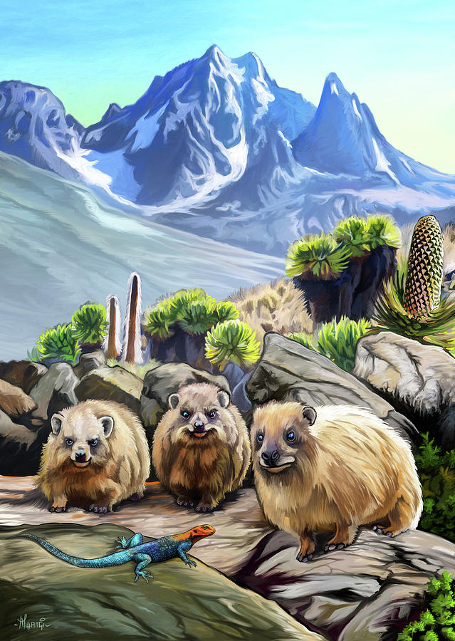 Hyraxes On Rocks Painting