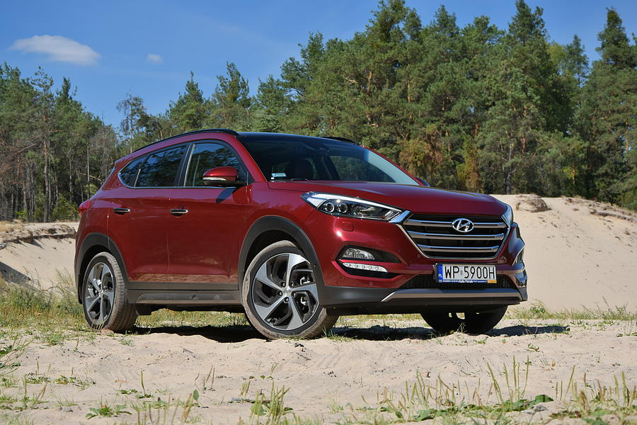 Hyundai Tucson on the unmade road Photograph by Tramino