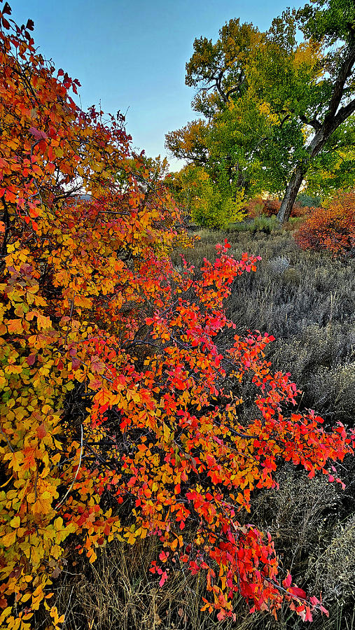 I-70 Fall Colors  Photograph by Ray Mathis