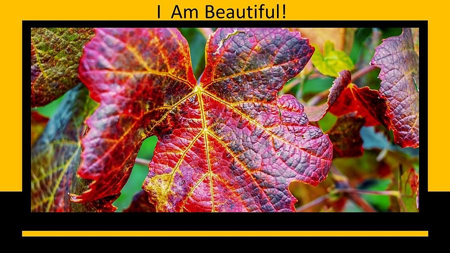 I Am Beautiful Mixed Media by Nancy Ayanna Wyatt