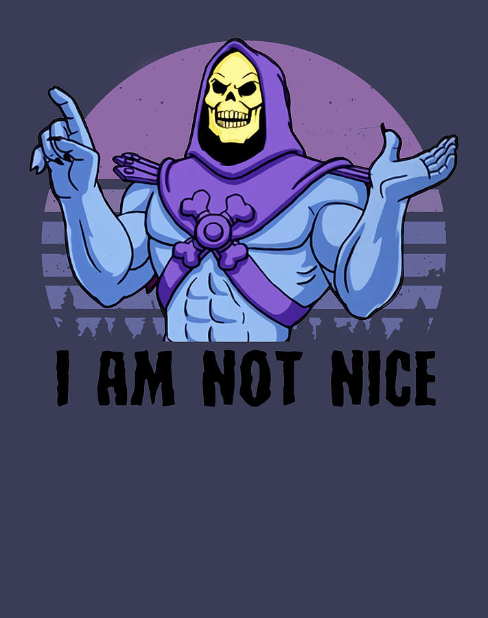 I Am Not Nice Skeletor Heman Funny Lord Of Destruction Unisex Tee ...