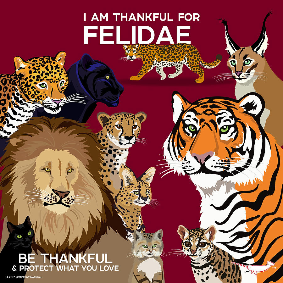 I Am Thankful For Felidae Poster 80s Painting by Stewart Wayne | Fine ...