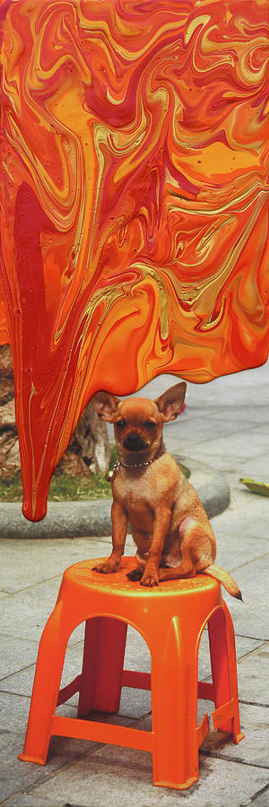 I am the Dog Painting by Antonio Wehrli