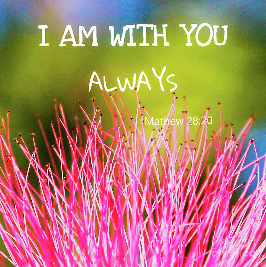 I am with you always Photograph by Joanne Carey - Fine Art America