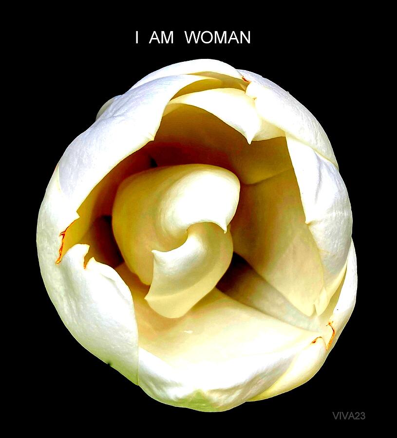 I  Am  Woman Photograph by VIVA Anderson