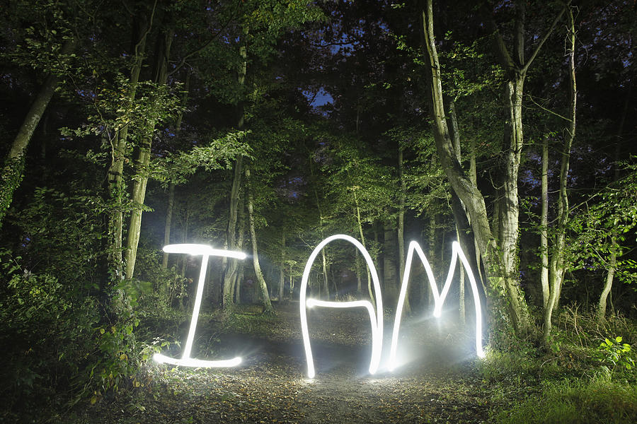 I am written in light in a forest Photograph by Bertrand Demee