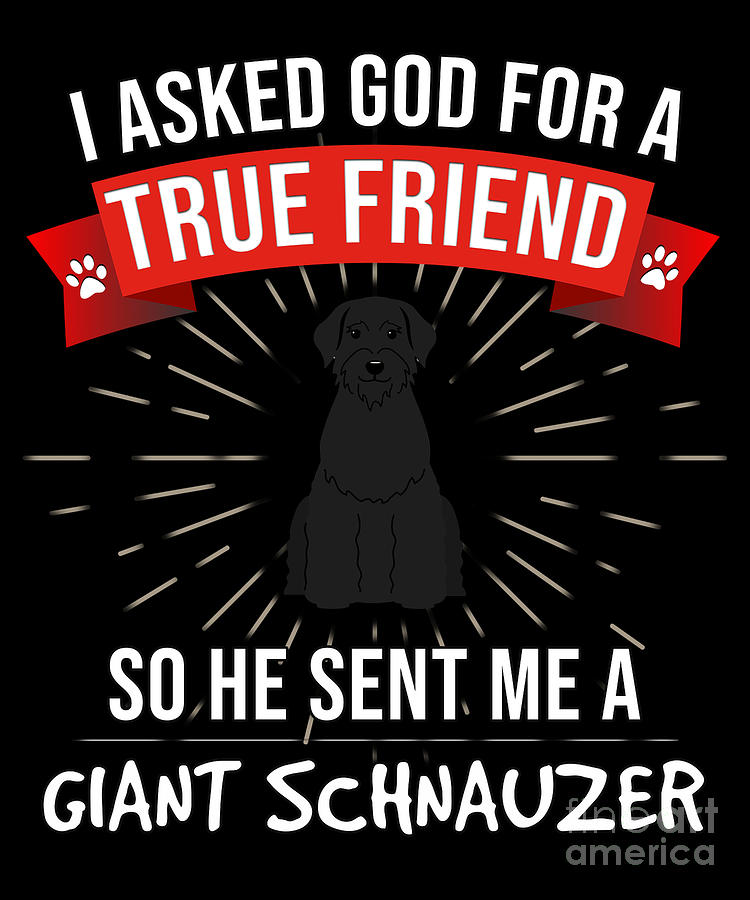 are giant schnauzers good friends