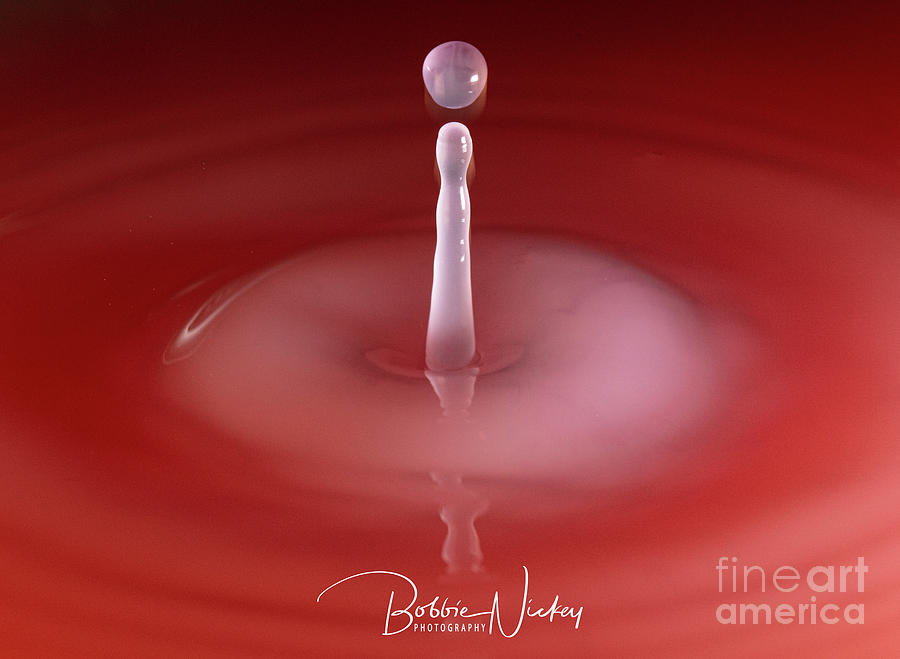 Water Drop Photograph - i by Bobbie Nickey