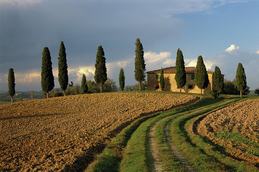 I Cipressini, Tuscany, Italy Photograph by Sarah Howard
