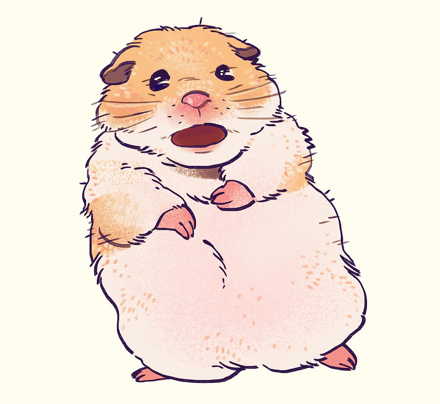 Top 10 Hamster Meme Drawing - IMAGESEE