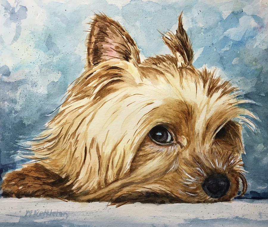 Yorkshire Terrier Zoe Painting by Michelle Nettleton - Fine Art America