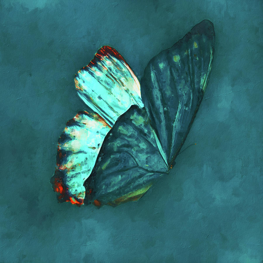I dreamt I was a Butterfly - 03 Painting by AM FineArtPrints