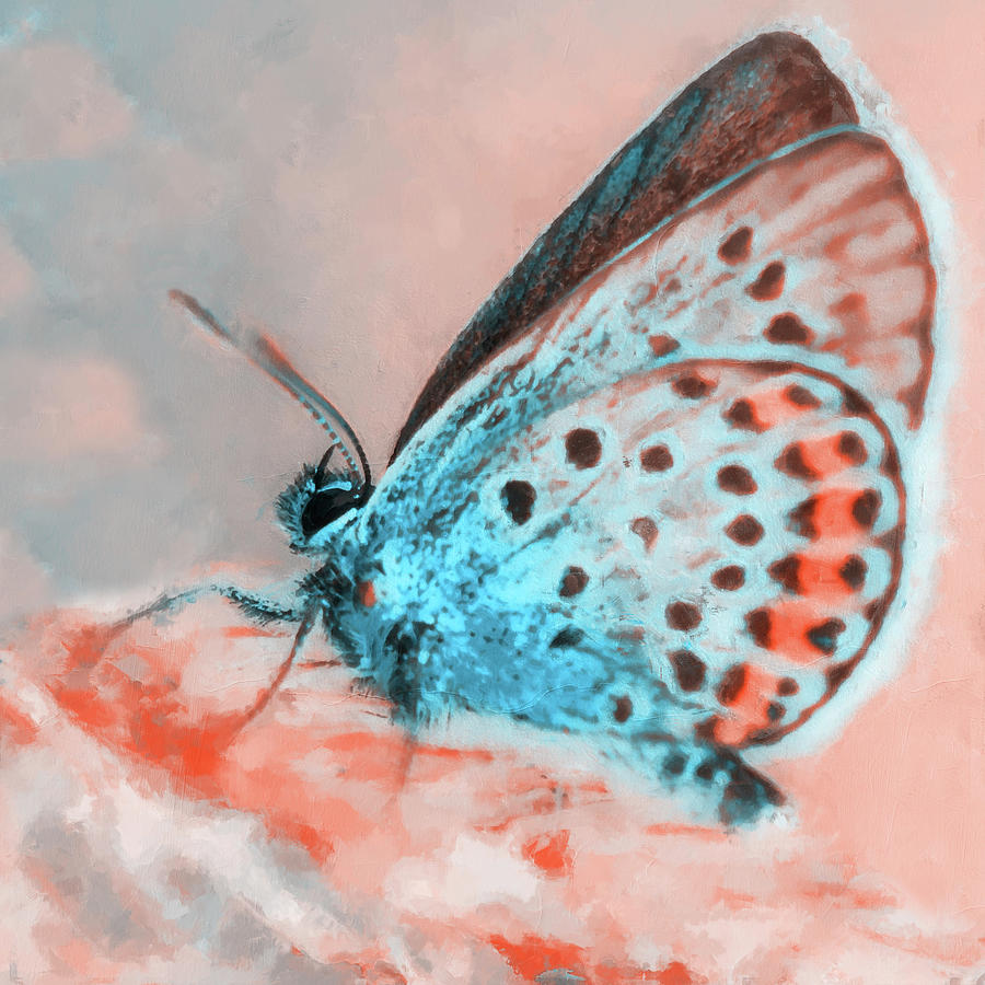 I dreamt I was a Butterfly - 04 Painting by AM FineArtPrints