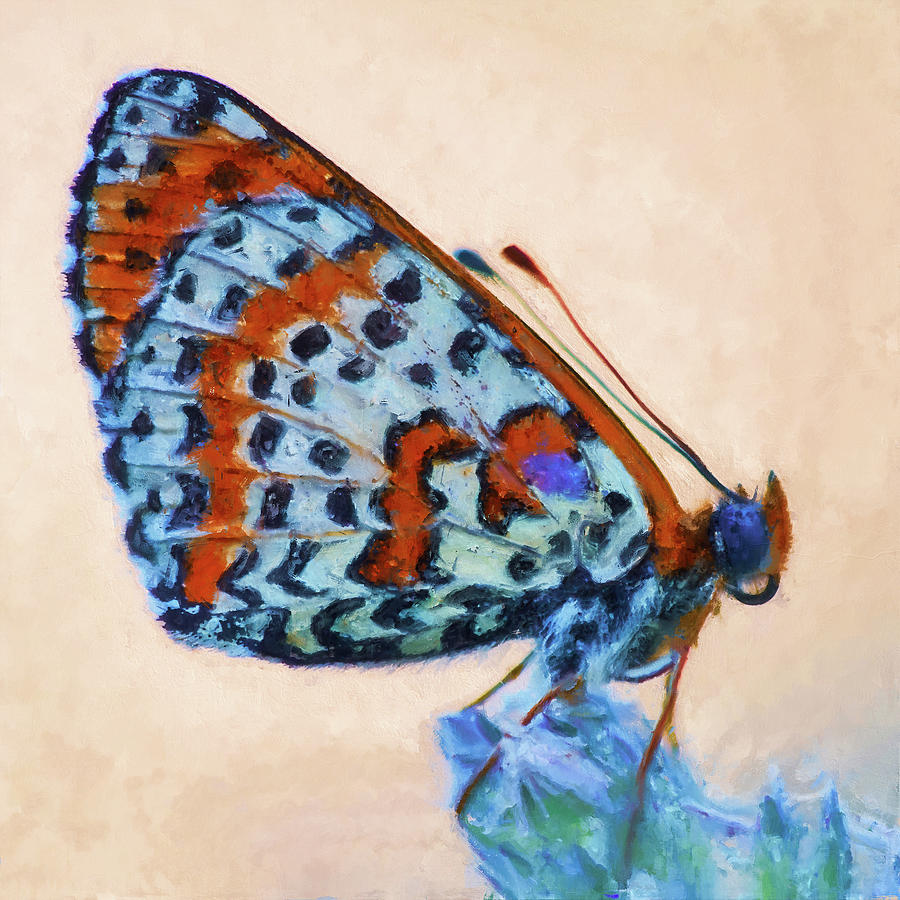 I dreamt I was a Butterfly - 05 Painting by AM FineArtPrints