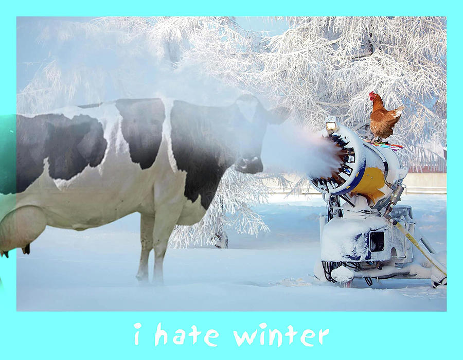 I hate winter Photograph by James Bethanis