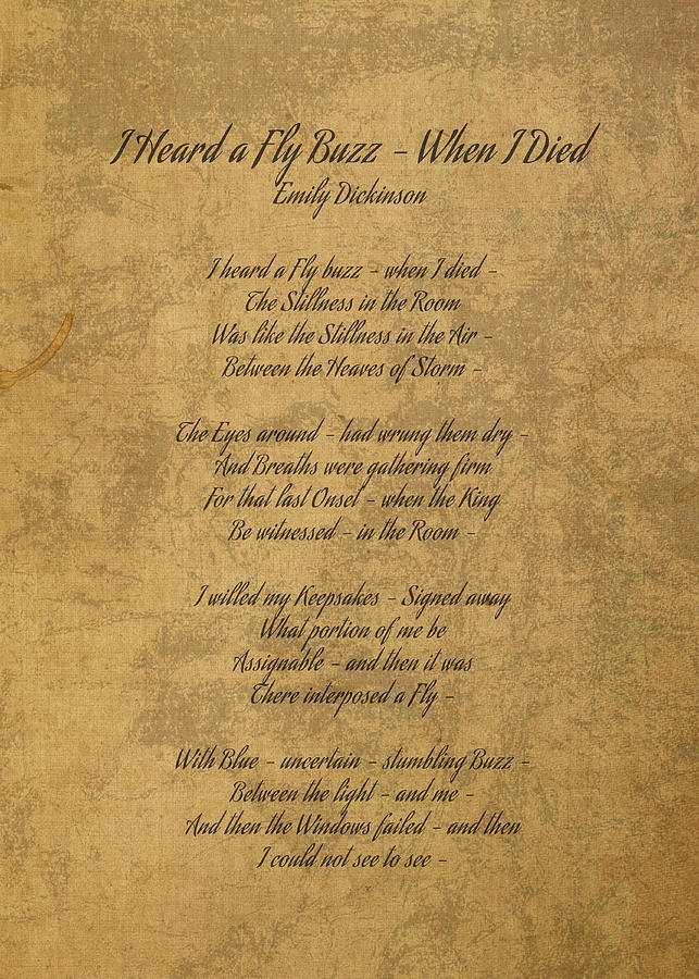 i-heard-a-fly-buzz-by-when-i-died-by-emily-dickinson-classic-poem-on