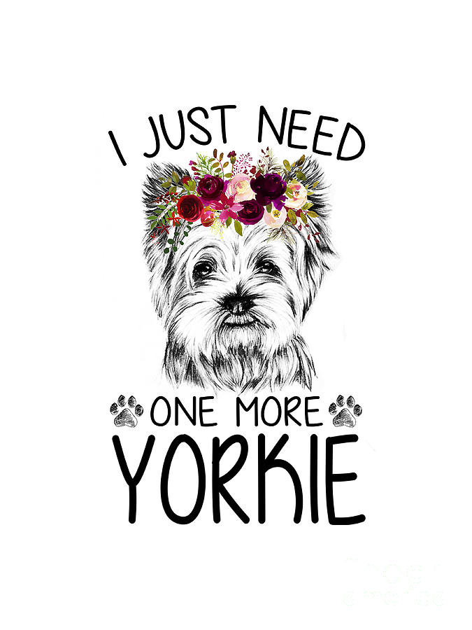 Personnage De Dessin Animé Chien Yorkshire Terrier Pose Ensemble | Vecteur  Premium